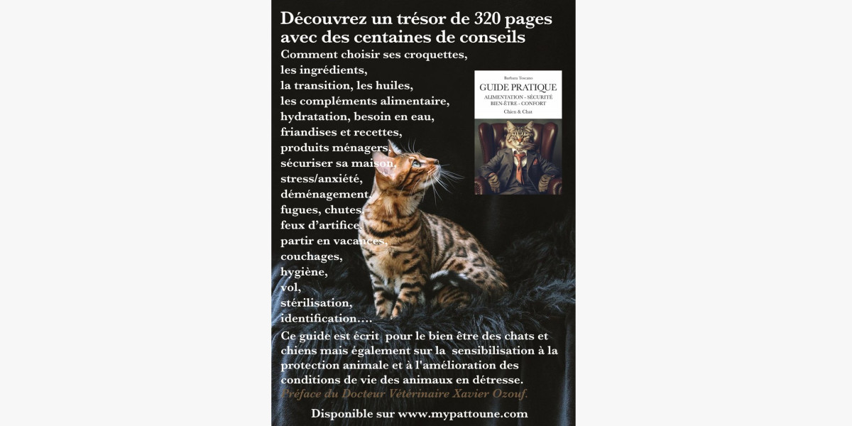 Littérature