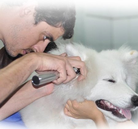 Dr Xavier OZOUF